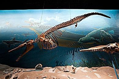 《流浪地球2》预告公布 大年初一上映