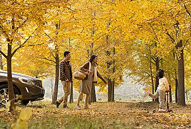 《星空》最新更新改善Mod工具性能 官方承诺仍会持续开发